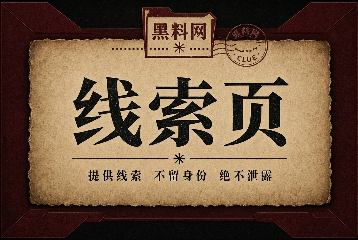 公开资料边界